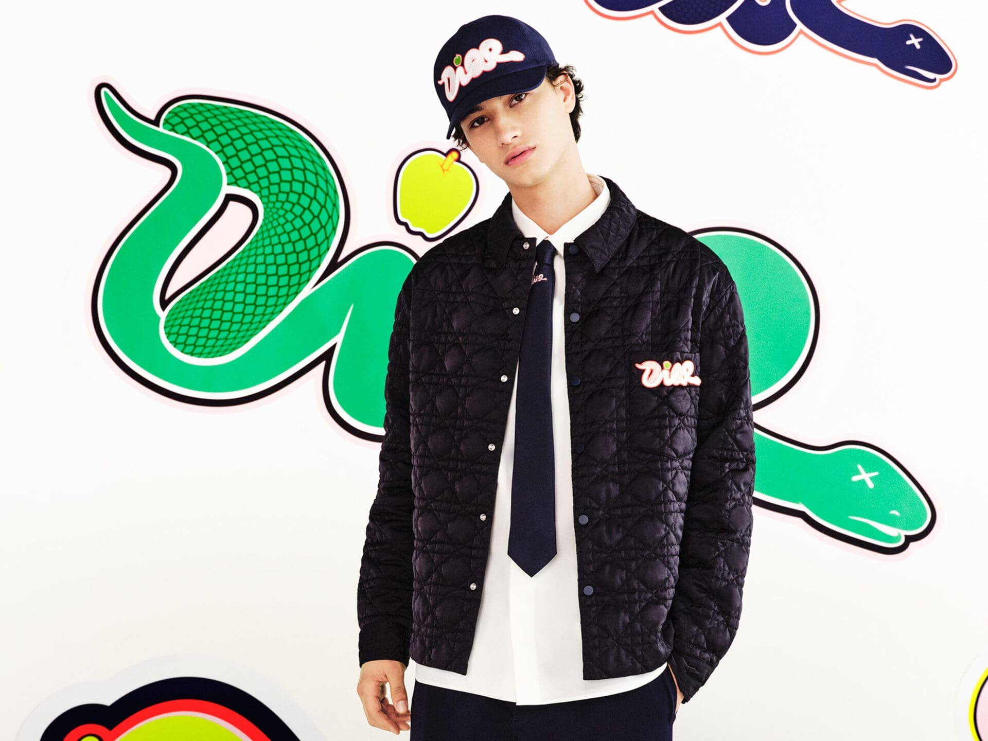 The Dior and KAWS Capsule Collection