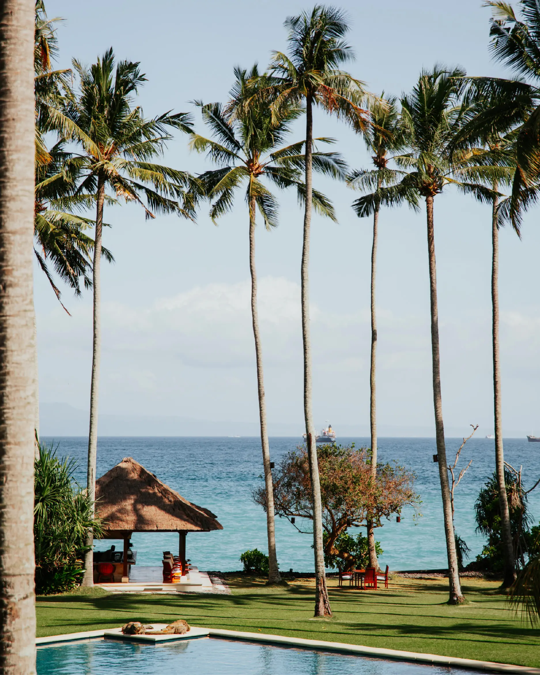 Alila Manggis