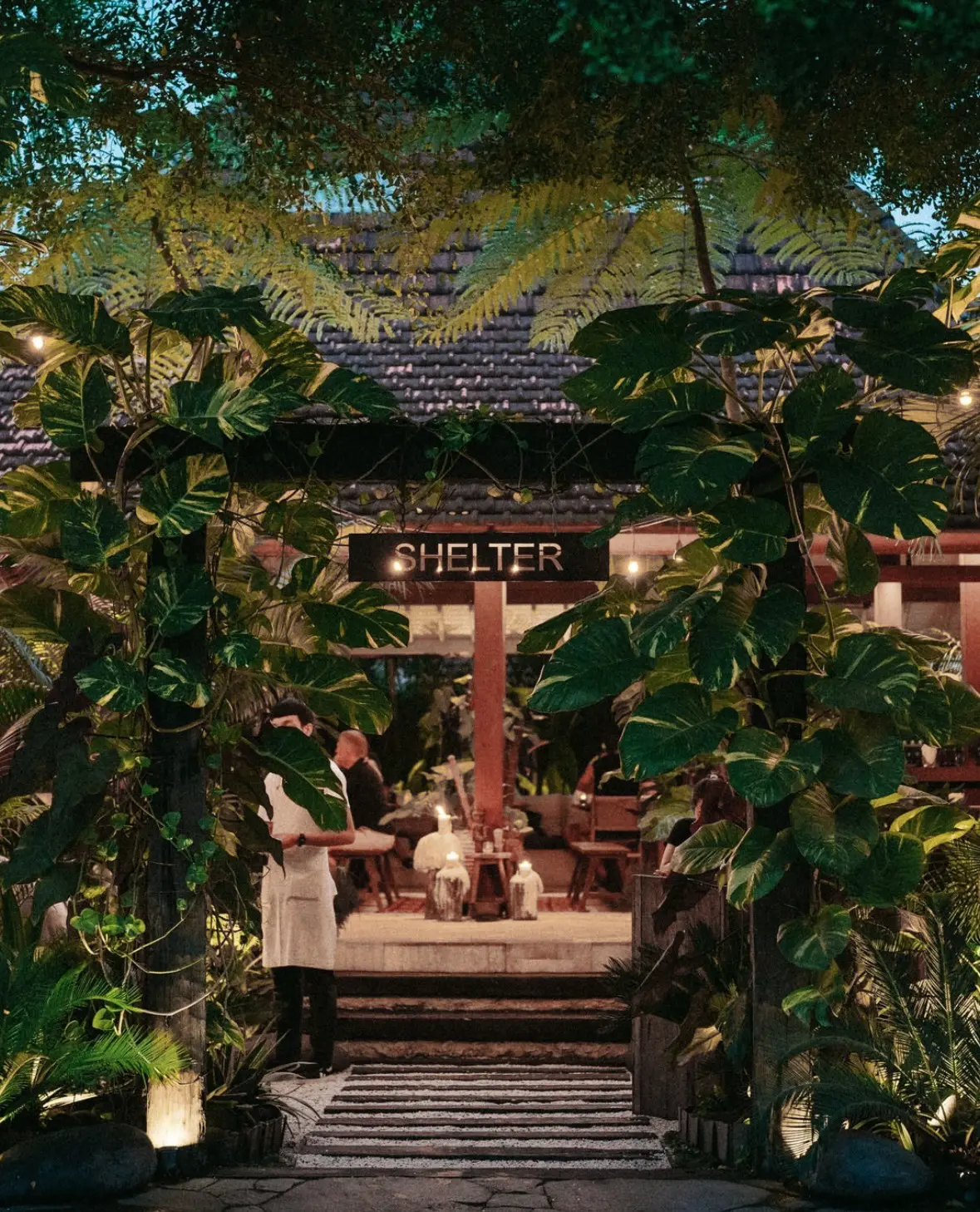 Shelter