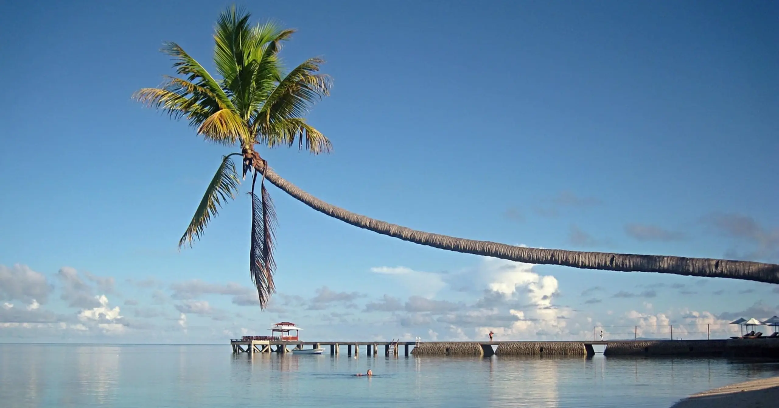 Wakatobi