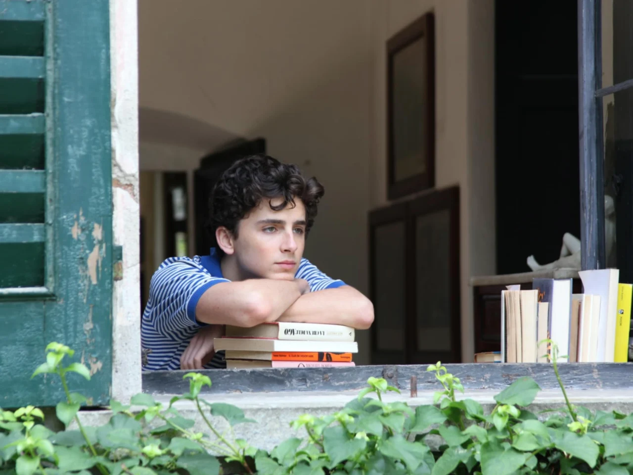 TIMOTHEE CHALAMET CALL ME BY YOUR NAME