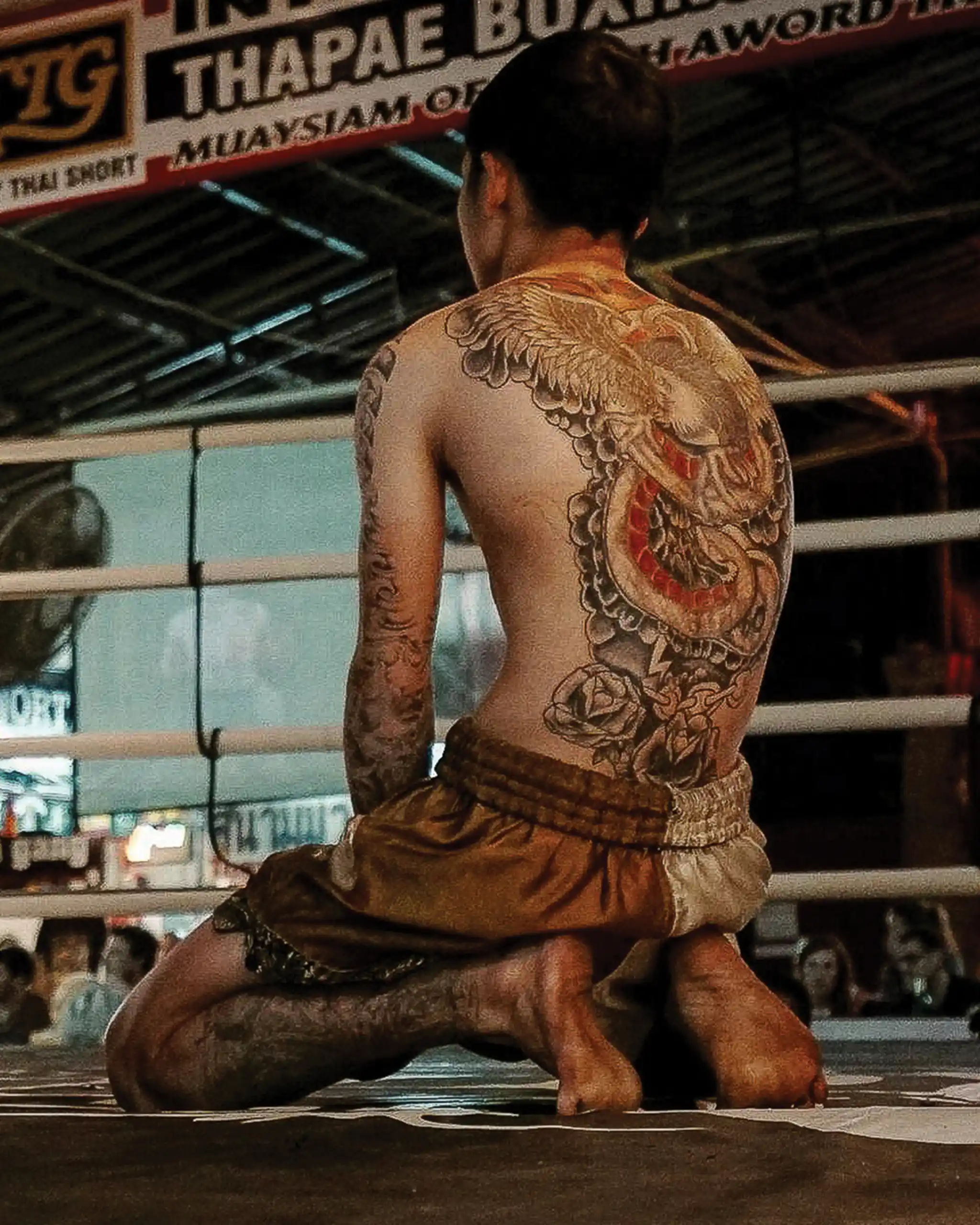 Southeast Asian Martial Arts