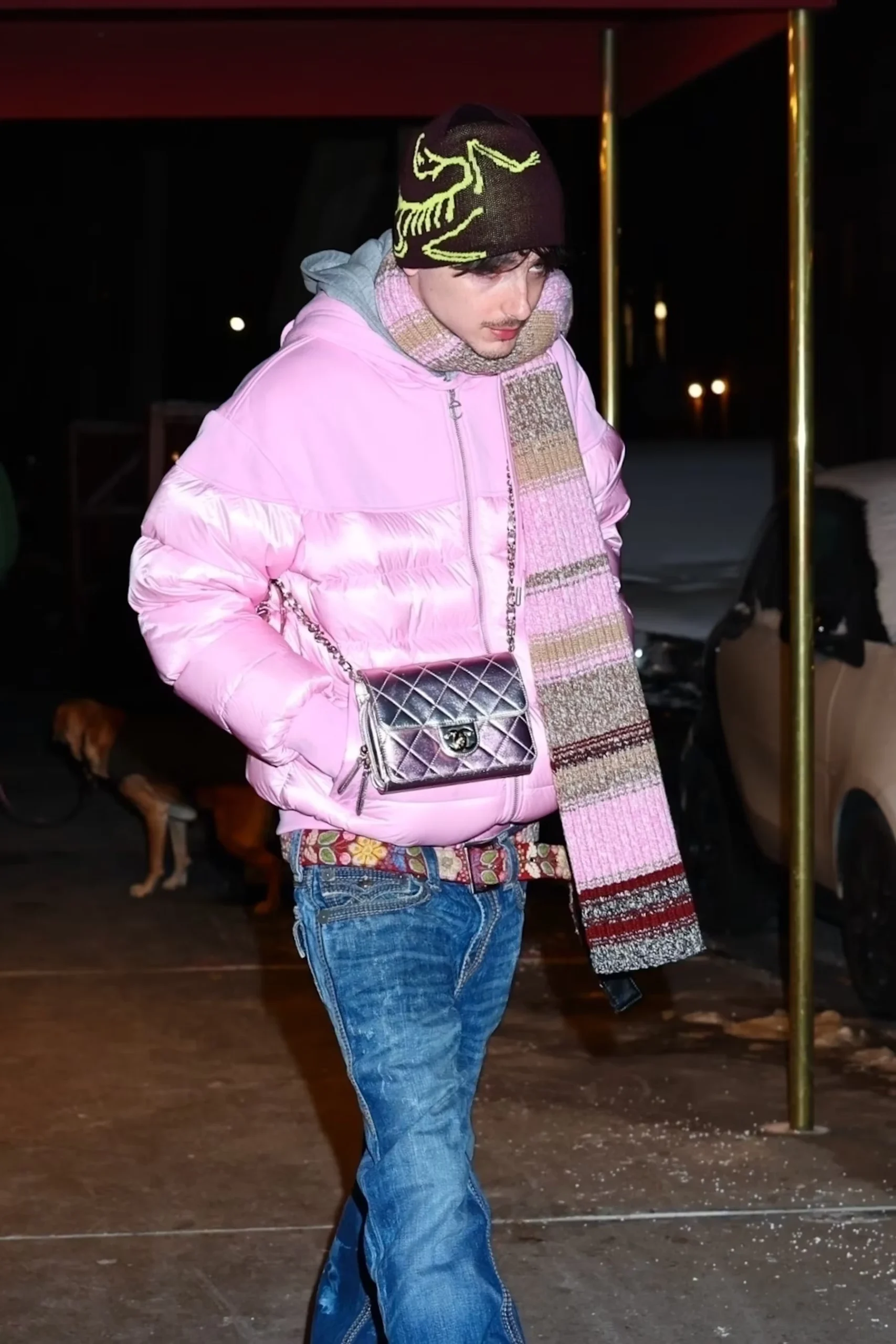 TIMOTHEE CHALAMET MINI KELLY